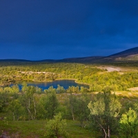 Im Stabbursdalen Nationalpark