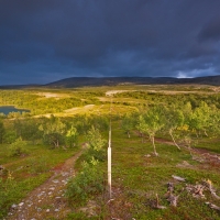 Im Stabbursdalen Nationalpark