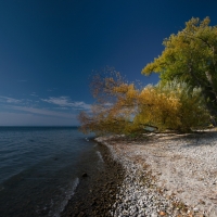 Herbst am Überlinger See