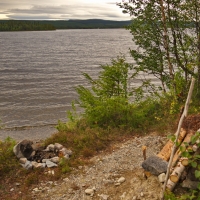 skotPhos.de_163141.506_SE